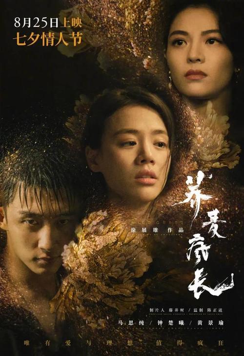 高级研究学院毕业证